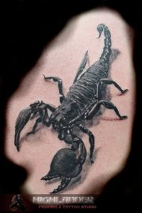 Tatto Skorpion